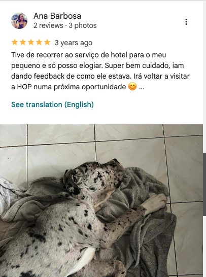 Feedback de João Santos