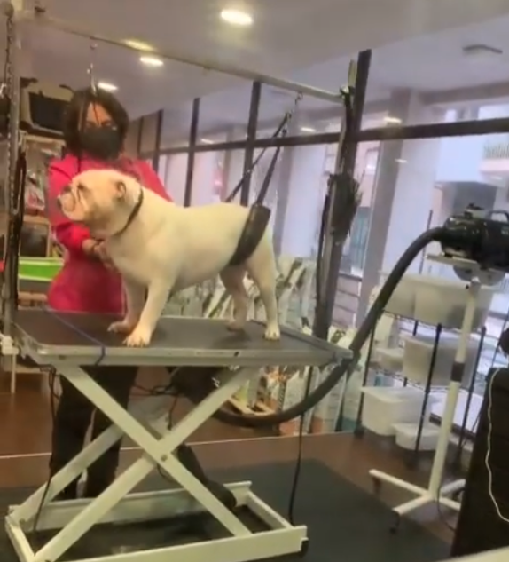 Área exterior com jardim amplo