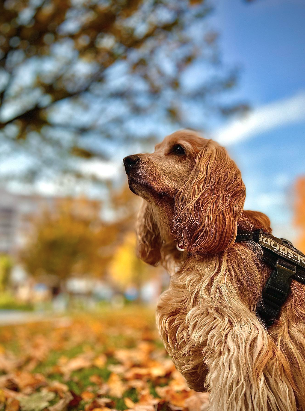 Quartos individuais climatizados