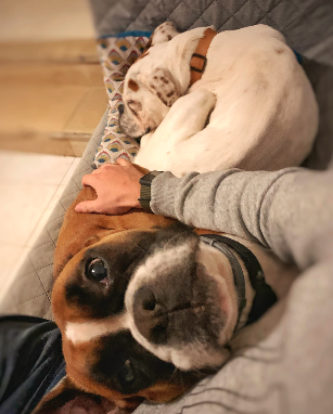 Receção e área de espera