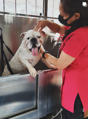 Espaço de exercícios coberto