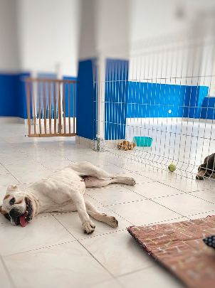 Zona de descanso confortável